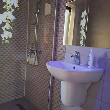 Casa Constantin Vic 4* Eforie Nord