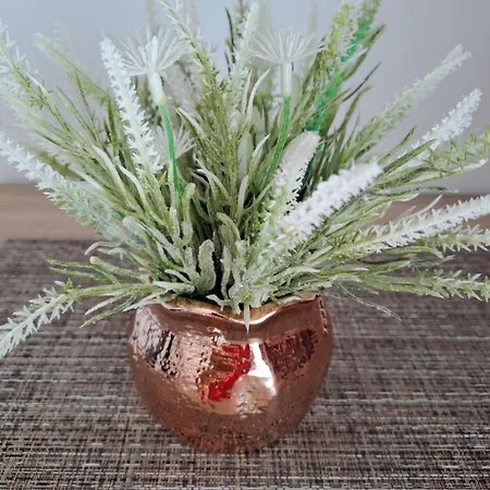 Casa Constantin Vic Gasthof 4*