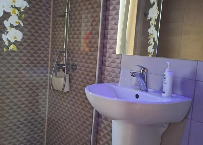 Casa Constantin Vic 4* Eforie Nord