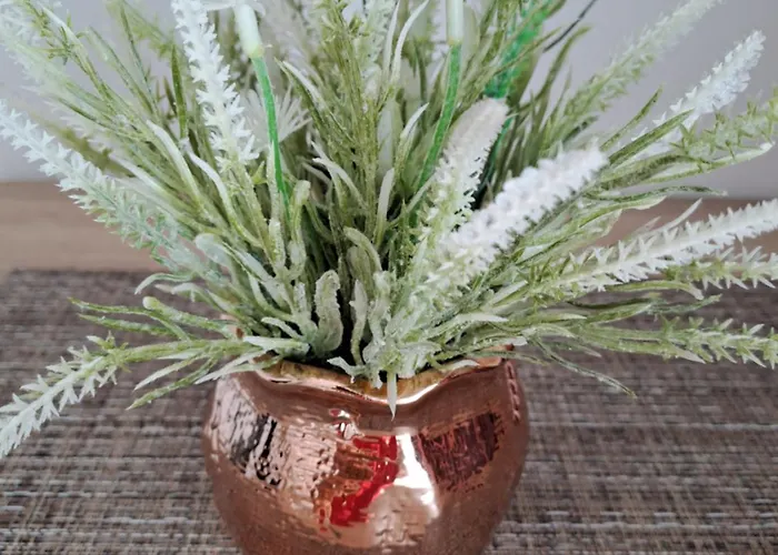 Casa Constantin Vic Penzion 4*