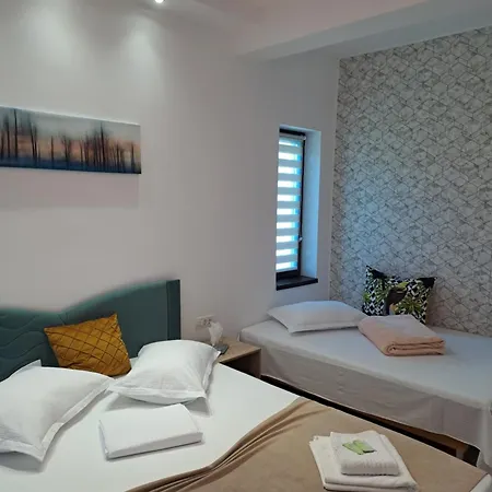 בית הארחה Casa Constantin Vic אפורי נורד