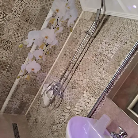 Casa Constantin Vic 3* אפורי נורד