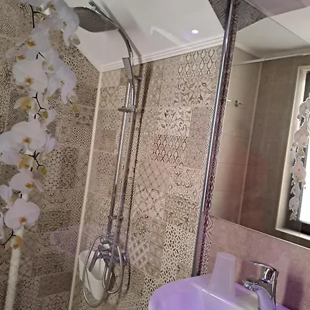 בית הארחה Casa Constantin Vic אפורי נורד