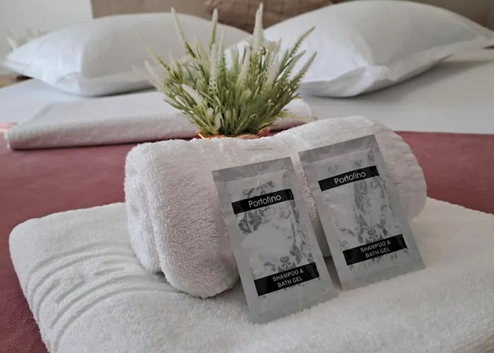 Casa Constantin Vic Pensjonat