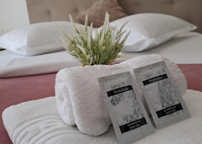 Pensjonat Casa Constantin Vic 4*